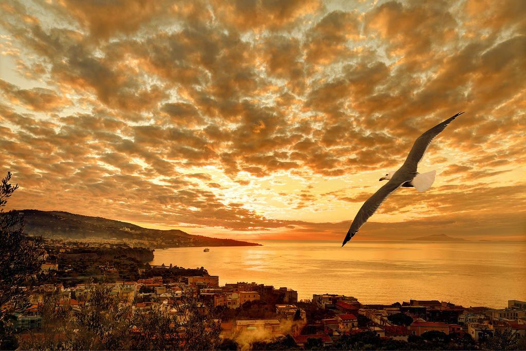 Caruso 1 By Villasandco Rentalsorrento Sorrento Quarto foto